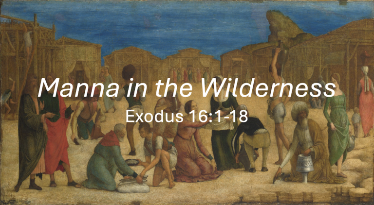 Manna in the Wilderness