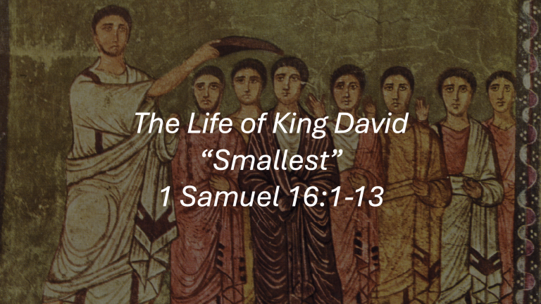 The Life of King David – “Smallest”