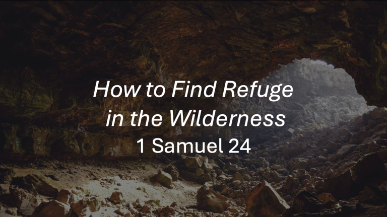 How to Find Refuge in the Wilderness